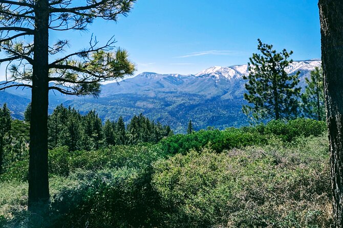 Family-Friendly Nature Hike Around the Big Bear Valley - Pricing and Reservation Options