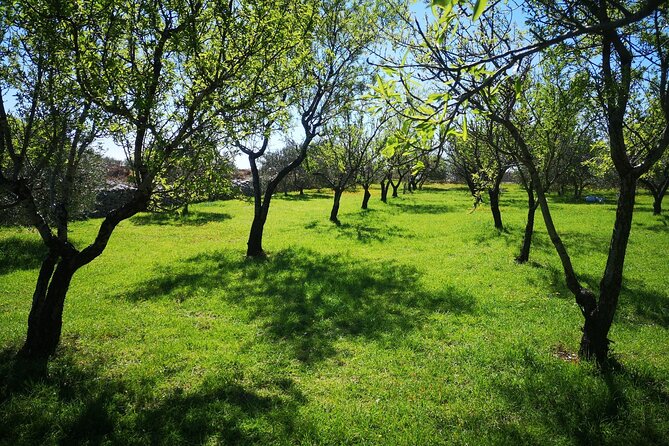 Family-Run Vineyard Tour Review: A Delightful Experience - Positive Guest Reviews