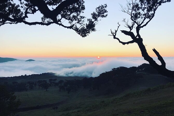 Fanal Forest Private Sunset Hike - Post-Hike Delicacies