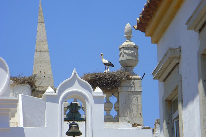 Faro Private Walking Tour With a Professional Guide - Pricing Details