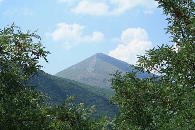 Felix Romuliana Private Tour Review - Historical Significance