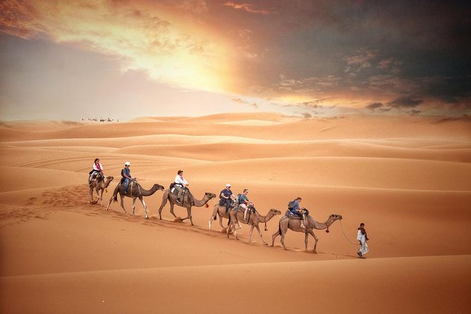 Fes Desert Tour 2 Days - Customer Testimonials
