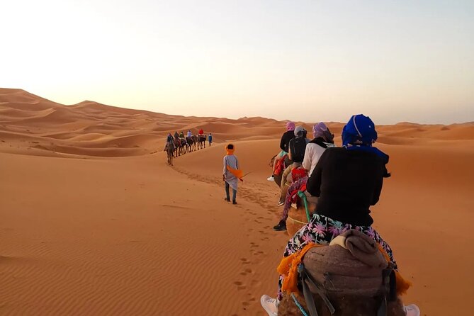 Fes to Sahara Desert 2-Day Tour: Camel Trek, Berber Camp & Sunset - Accessibility Features