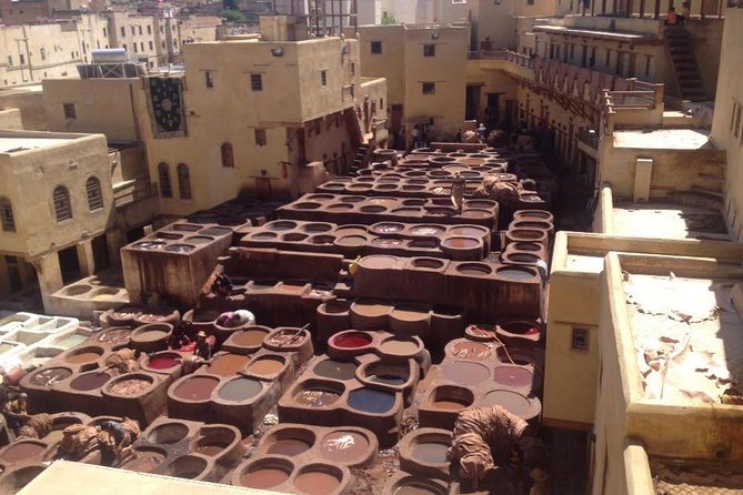 Fez Day Tour With Local Guide & Driver - Customer Ratings and Reviews