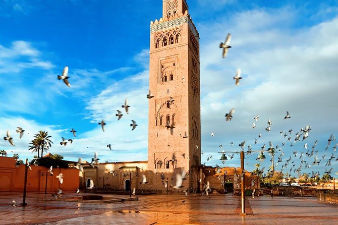 Fez to Marrakech Camel Trekking 3 Days 2 Nights - Pickup and Drop-off