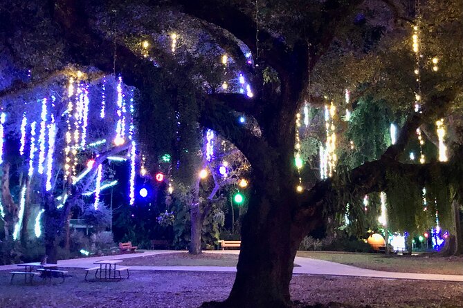 Flamingo Gardens Garden of Lights - Visitor Reviews and Ratings