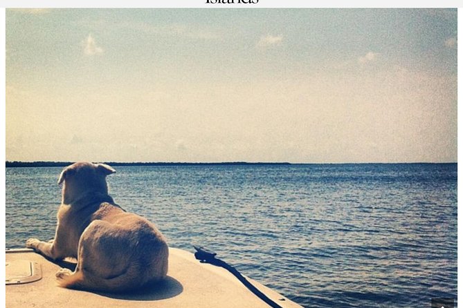Florida Keys Tour and Private Transportation Service - Pricing and Group Size