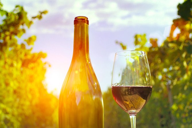 Food Tour Excursion in Provence ! - Culinary Delights Included