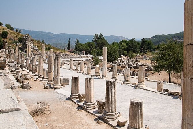 For Cruisers: SKIP-THE-LINE Ephesus Tour From Kusadasi Port - Traveler Experiences and Insights