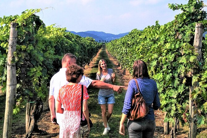 From Abano Montegrotto, Wine Tour in the Euganean Hills - Accessibility Features