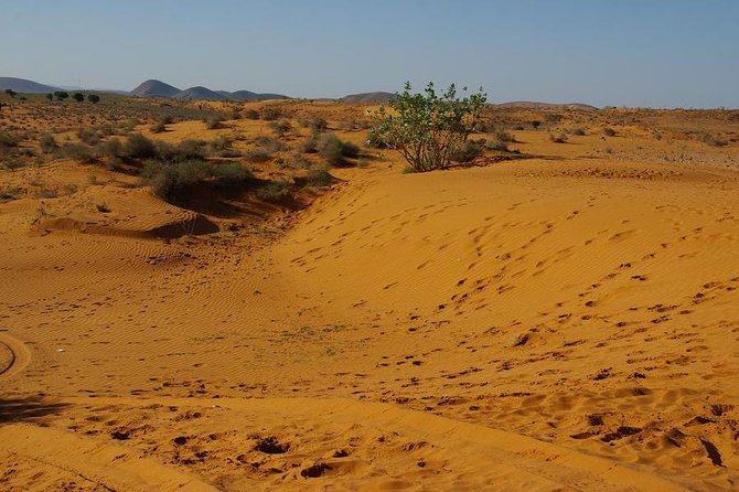 From Agadir 08 Days Round Trip to Southern Morocco. - What to Expect