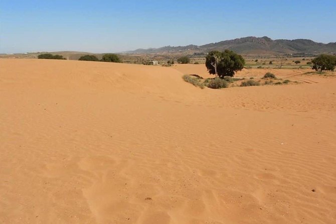 From Agadir or Port Trip to Small Sahara of Massa and Tiznit With Lunch - Transportation Details