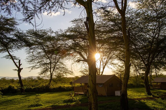 From Arusha: 2DAY Safari Ngorongoro and Tarangire National Park - Pricing and Availability