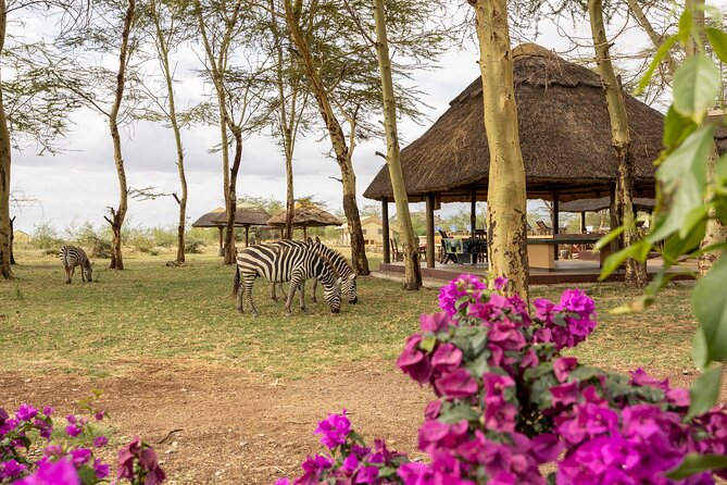 From Arusha: 9 Days Private Guided Classic Game Drive in Tanzania - Health and Safety Considerations