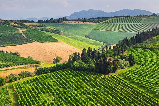 From Bologna: Chianti Wine Experience With Lunch - Wine Tasting and Lunch