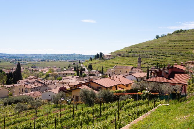 From Bologna: Verona and Valpolicella Day Tour - Guided Tour of Verona