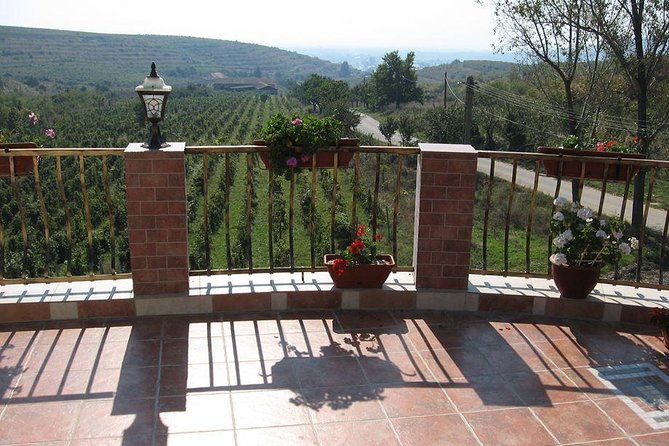 From Bucharest: Private Wine Tasting Tour in Dealu Mare Wineland - Romanian Winemaking Tradition