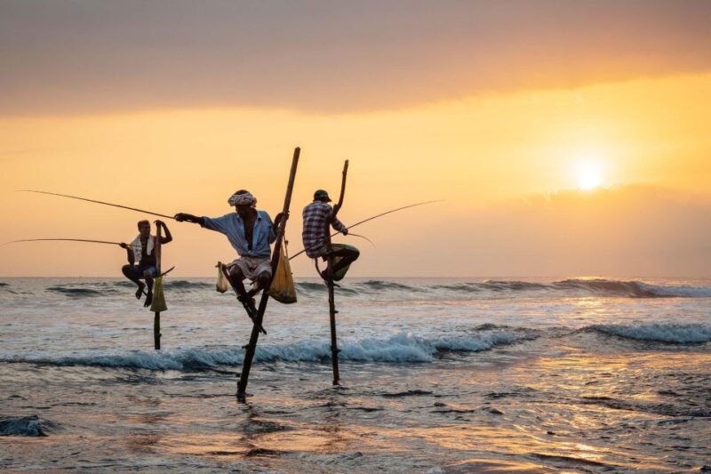 From Colombo: Galle and Bentota Day Tour - Customer Feedback
