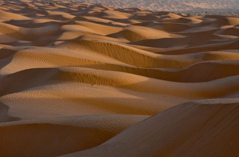 From Djerba: Full-Day Ksar Ghilane, Sahara and Oasis Tour - Cancellation Policy