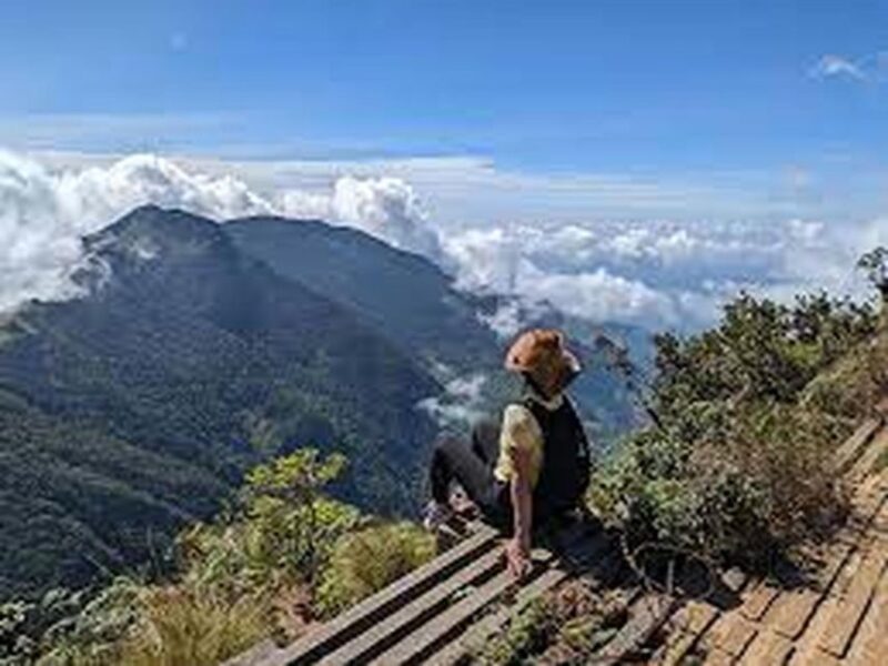 From Ella : Horton Plains National Park & Nuwaraeliya Tour - What to Bring and Important Information