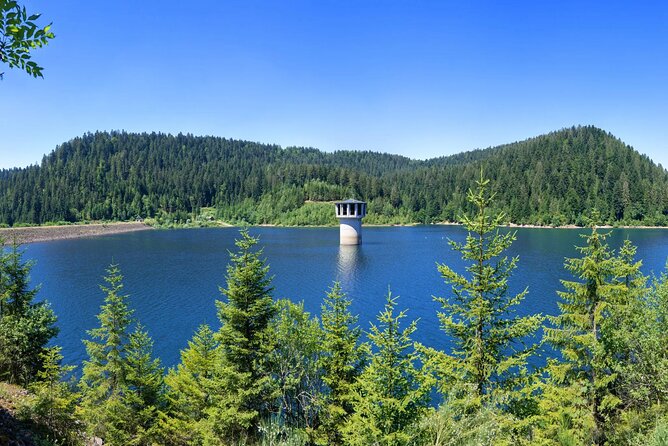 From Frankfurt - Romantic Black Forest & Brewery, Private Tour - Tips for the Journey