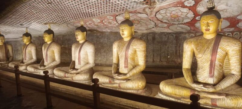 From Hikkaduwa to Sigiriya & Dambulla One Day Tour - Inclusions
