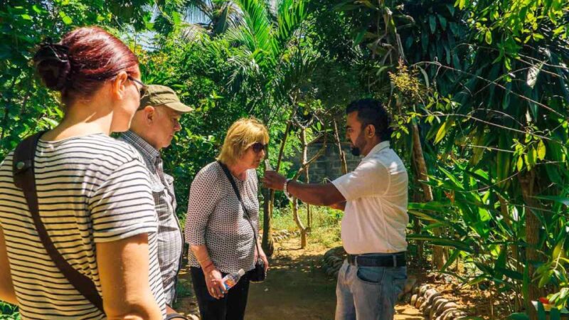 From Kandy: Matale Region Tour - Frequently Asked Questions