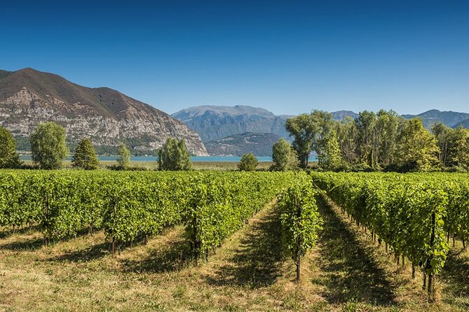 From MILAN Private Franciacorta & Amarone Valpolicella Wine Tour - Exploring Franciacorta Region