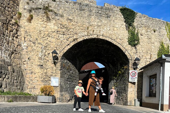 From Sarajevo: Day Trip to Travnik, Jajce Pliva Lakes, Watermills - Key Attractions