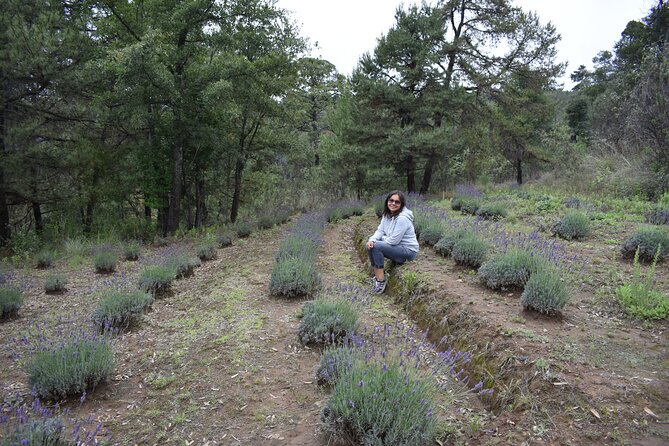 From the Hacienda, Lavender Ranch, and Valquirico (Private Tour) - Unique Experiences
