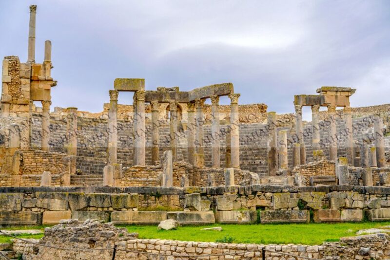 From Tunis: Half-Day Dougga Tour - Customer Feedback