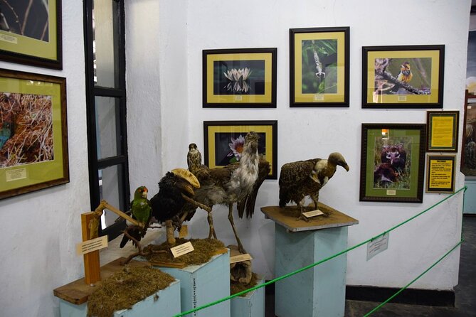 Full Day Arusha City Tour - Customer Feedback and Reviews