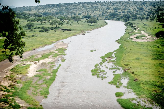 Full-Day Arusha Tarangire National Park Private Tour - Pricing Information