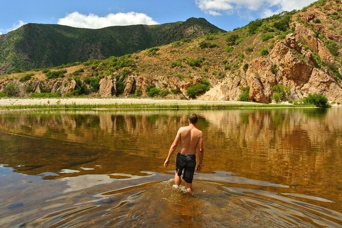 Full-Day Baviaanskloof Reserve Safari - Photography Opportunities on the Safari