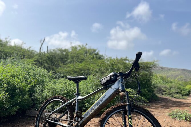 Full Day Beach Hopping Experience in Curacao - Preparing for the Trip