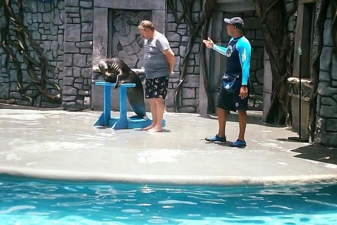 Full Day Cozumel Island Tour With Ferry, Snorkel, Virgin Beach, Buggy and Lunch - Highlights of the Tour