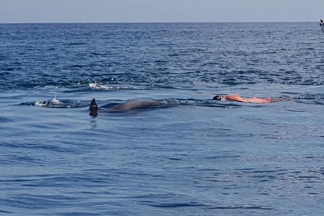 Full-Day Dolphin Watching Cruise in Mauritius - Booking Process