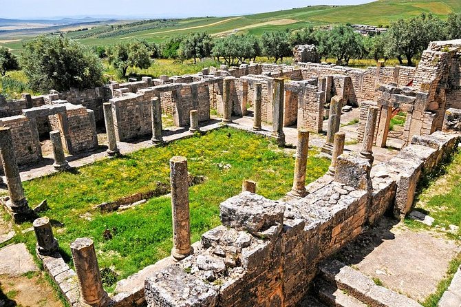 Full Day Dougga & Bulla Regia via Testour Private Tour With Lunch - Knowledgeable Tour Guide