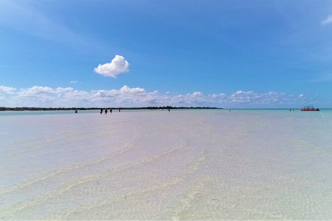 Full Day Excursion to the Best of Holbox From Riviera Maya - Guest Reviews and Feedback