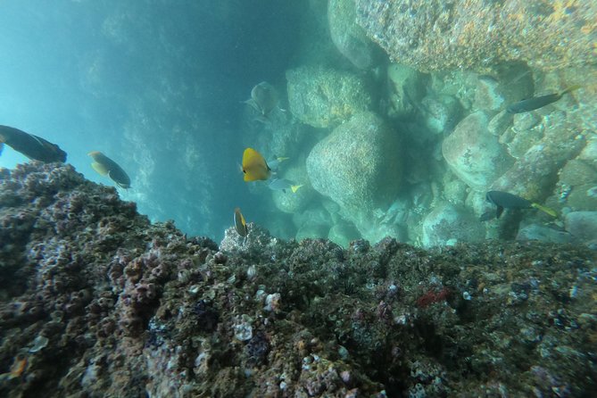 Full-Day Experience in Banderas Bay - Customer Feedback Highlights