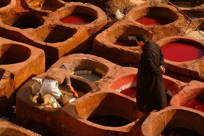 Full Day Fez Guided Tour - Highlights of Fez