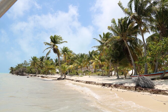 Full Day Guided Tour to Sian Kaan (Short Way) - Reviews and Feedback