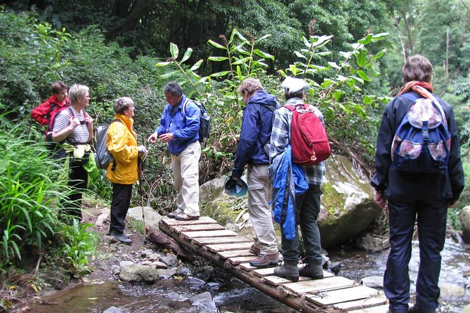 Full Day Hiking Faial Da Terra (Min. 2 Persons) - Contact Support