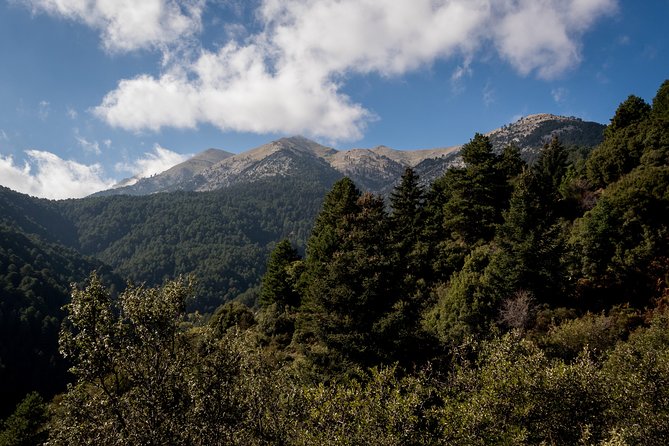 Full-Day Hiking Mount Taygetos Summit With Picnic - Reviews and Ratings