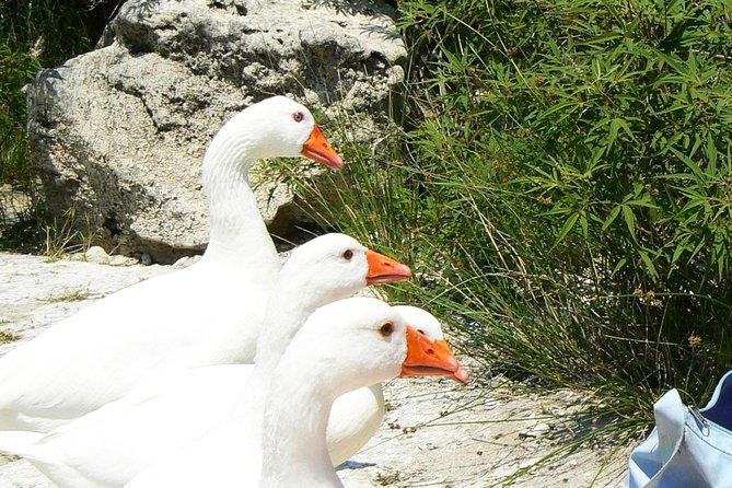 Full-Day Kourna Lake & Argyroupoli Crete Nature From Rethymno - Customer Reviews and Feedback