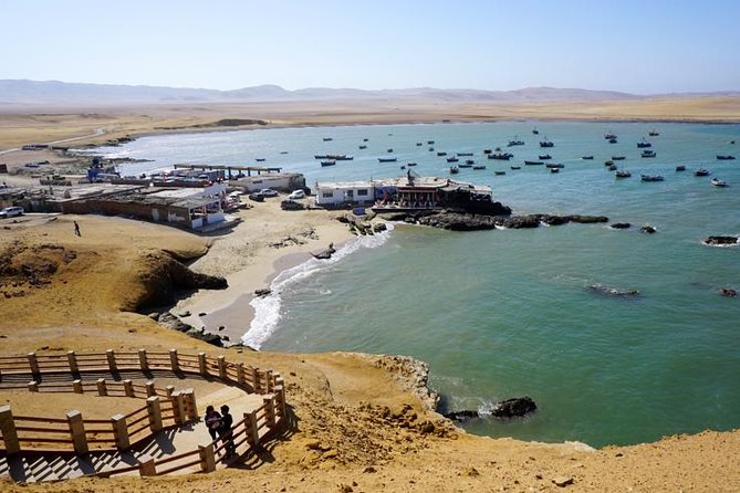 Full Day Paracas - Tour Highlights