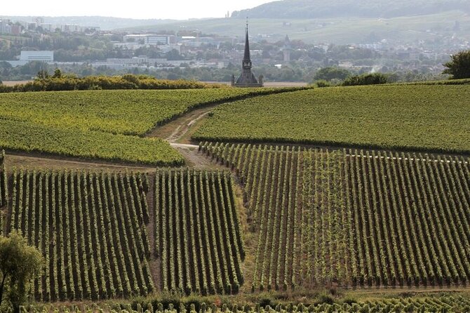 Full-Day Private Champagne Tasting in Reims and Its Vineyards - Transfers and Pickup Details