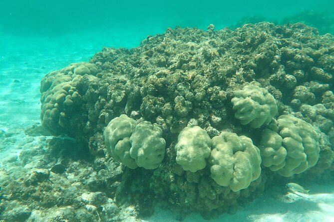 Full Day Private Island Hopping Boat Tour in Carriacou, Grenada - Frequently Asked Questions