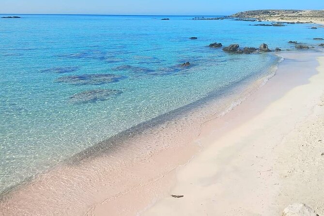 Full Day Private Minivan Tour to Elafonisi Beach and Kedrodasos - Organizational Smoothness