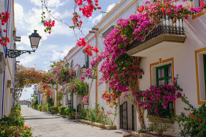 Full Day Private Shore Tour in Las Palmas From Gran Canaria Port - Pricing and Cancellation Policy